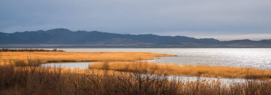A calm lake bordered by golden reeds under a cloudy sky, with distant dark mountains in the background and soft sunlight reflecting on the water.